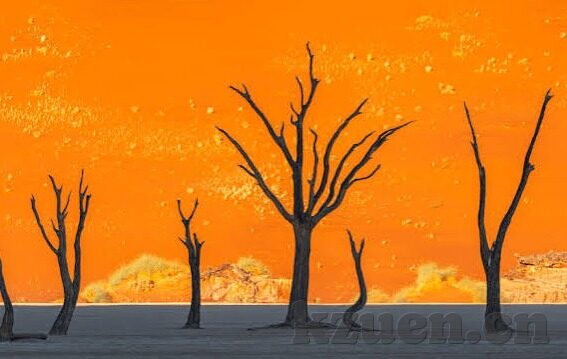 91av麻豆传媒-91av麻豆对传媒行业影响探析
