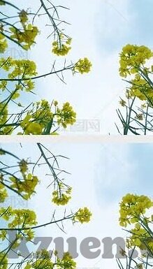 91麻豆久久一级中文字幕-互联网世界里的文化镜像，探求多元内容创作的价值