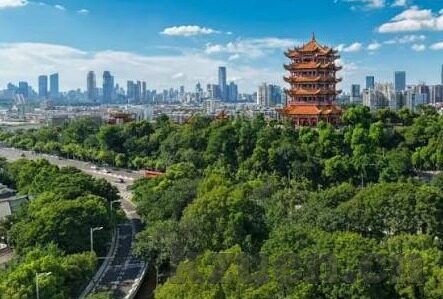 成人颜色视频-与网络伦理的边界探讨