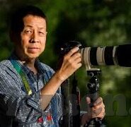 麻豆AV沈樵在线观看-媒体伦理与网络空间，审视麻豆AV沈樵现象对公众的影响