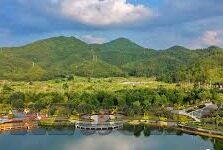 麻豆传媒14部-优化网络环境，共建清朗空间