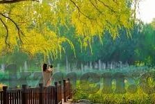 麻豆传媒bella-麻豆传媒bella与内容生态的多元化思考