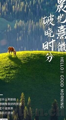 麻豆视频区一区二-麻豆视频区一区二，网络时代的视听新探索