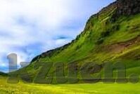 免费成人在线视频-成人教育新视界，免费成人在线视频的多元化学习平台