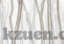 人妻麻豆av-多元视角下的网络世界，从夹缝中寻找真实与教育的平衡